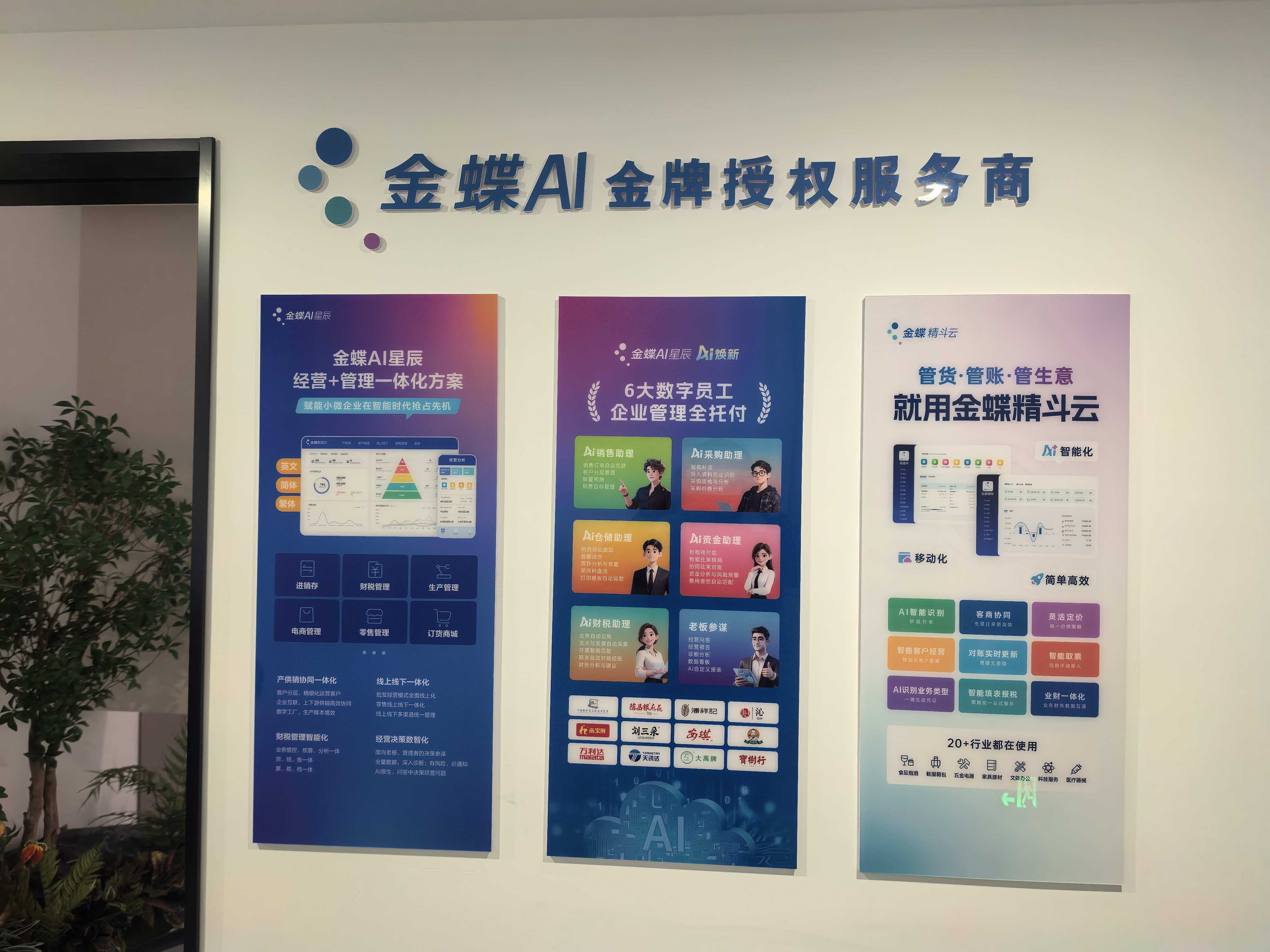 丽水软件开发